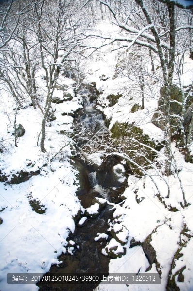江雪