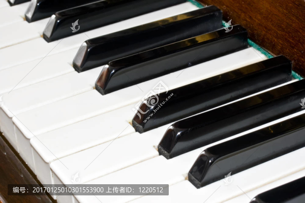 鋼琴鍵盤