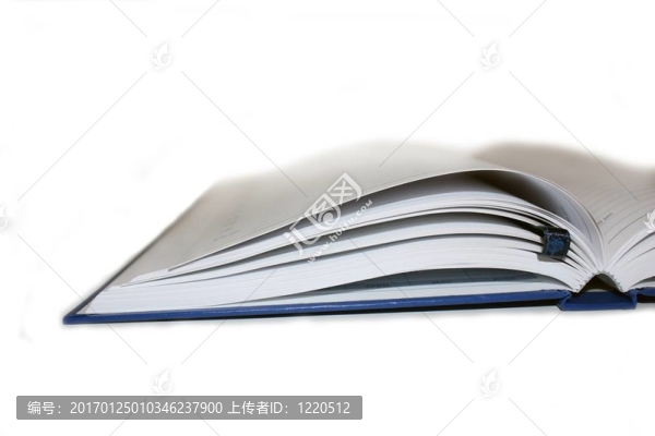 打開日記