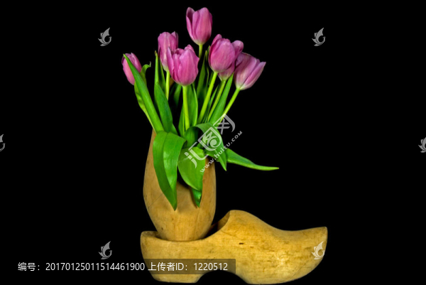 荷蘭花束