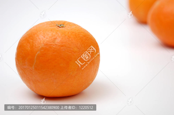 橘子收成時