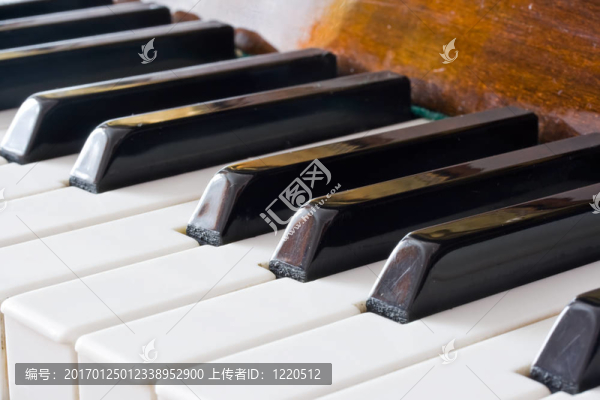 鋼琴鍵盤
