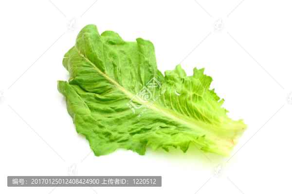 薩拉德