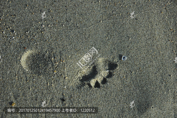 足跡