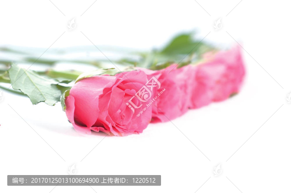 粉紅色的玫瑰花束