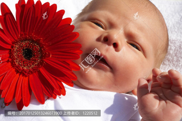 小新生兒帶花