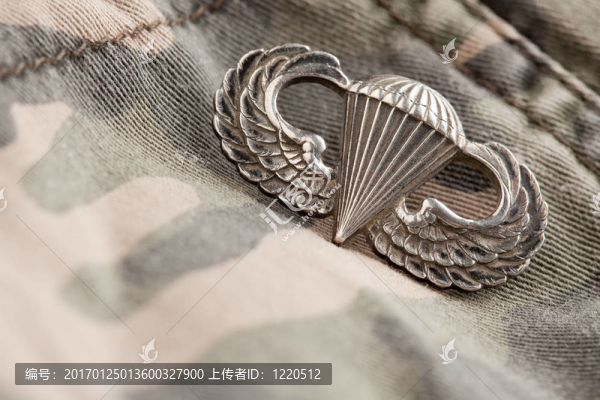 傘兵戰(zhàn)爭(zhēng)勛章