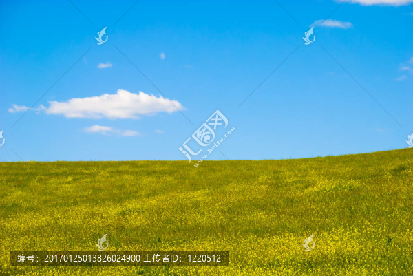 西班牙春季景觀。