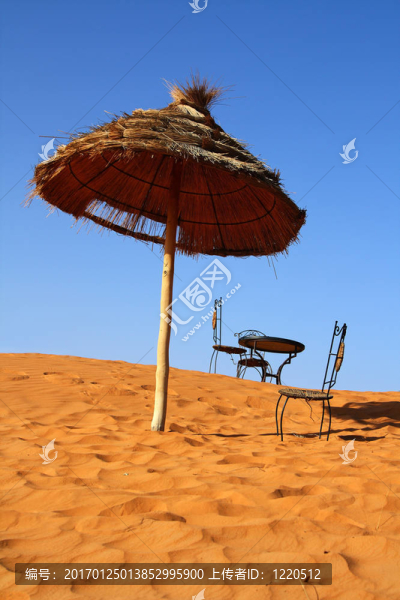 浪漫的地方坐在Sahara上