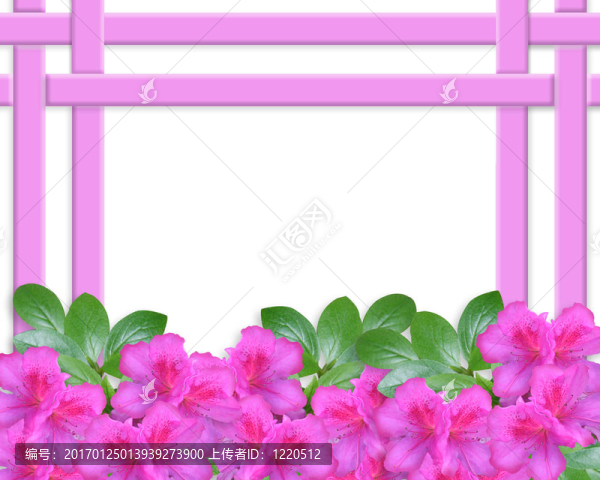 花杜鵑邀請(qǐng)邊境