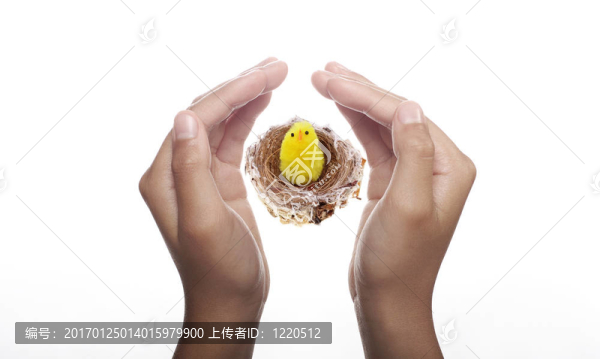 巢中的復(fù)活節(jié)小雞