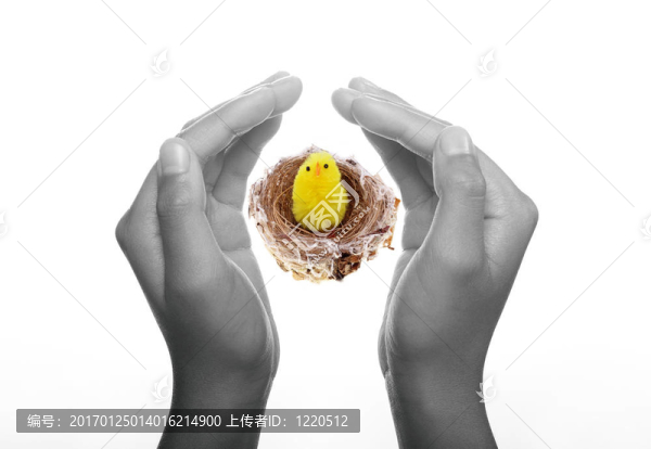 巢中的復(fù)活節(jié)小雞