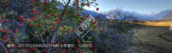庫(kù)克山