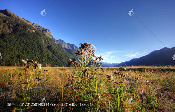 庫克山