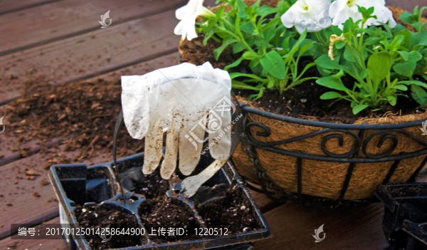 Gardner,s,Hand-匯圖網(wǎng) www.fosd68.com Gardner,s,Hand