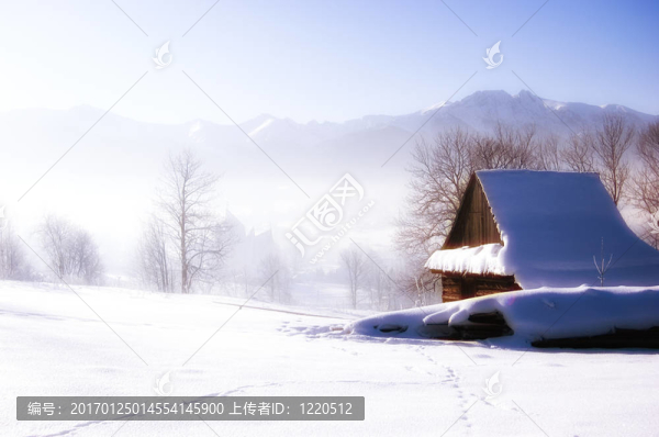 魅力冬景