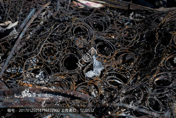 春天-匯圖網(wǎng) www.fosd68.com 春天