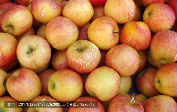 蘋果