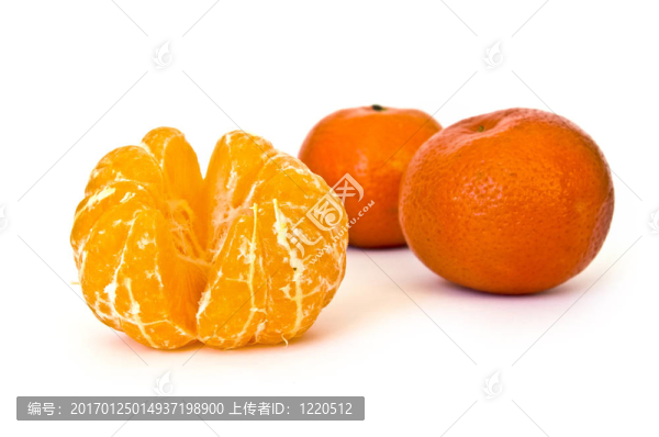 橘子收成時(shí)