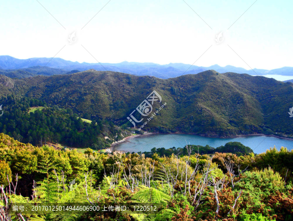 看著奧臘馬的大屏障島；新西蘭灣；