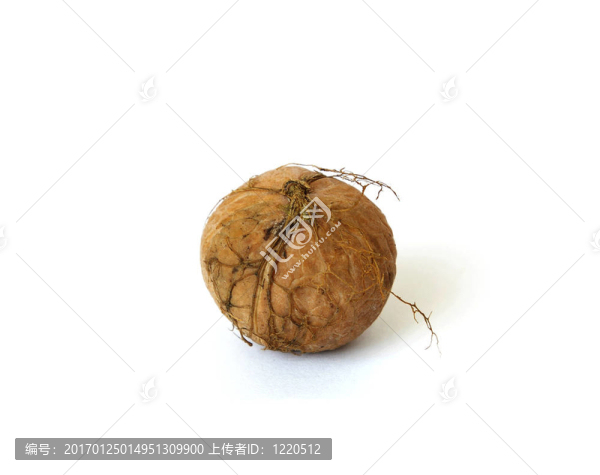 核桃