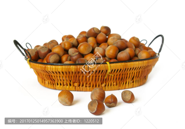 白色木堅果