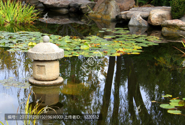 基于水的ensui觀看申日本水上花園