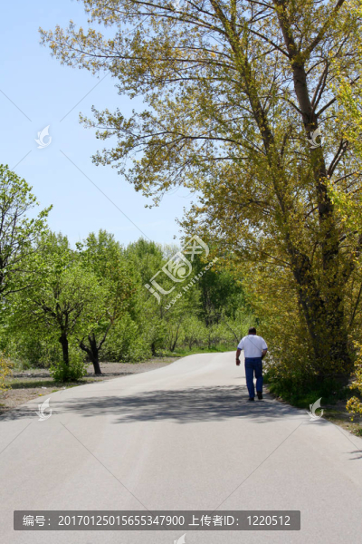 孤獨(dú)的路-匯圖網(wǎng) www.fosd68.com 孤獨(dú)的路