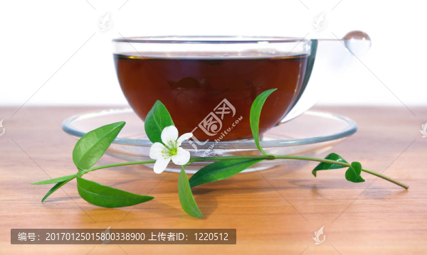 春天的花和紅茶