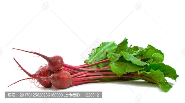 三甜菜根白色