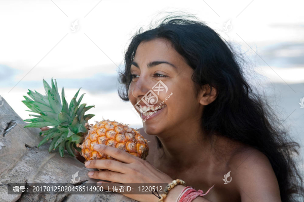 熱帶的夢想