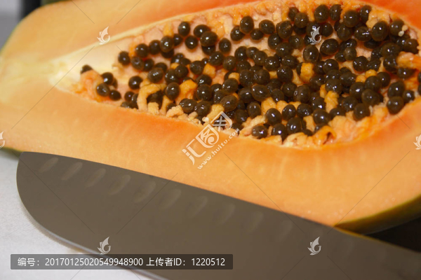 大papya