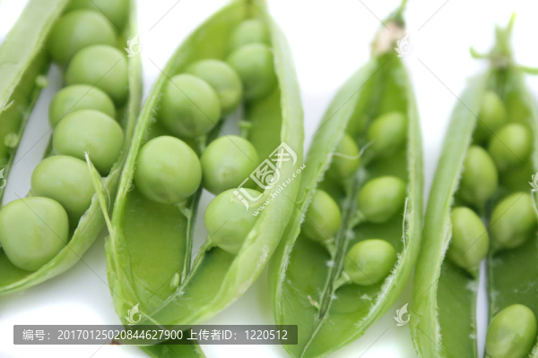 豌豆