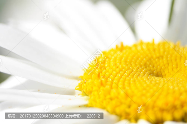 花香尾韻