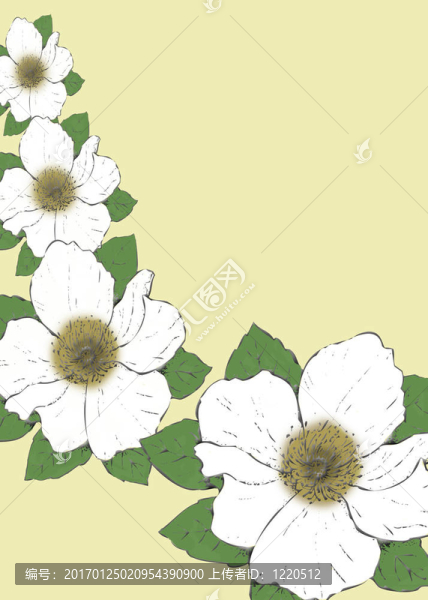 用木蘭花