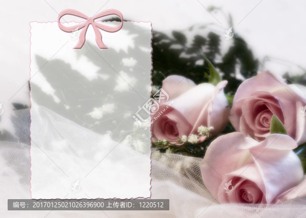 女性玫瑰印花
