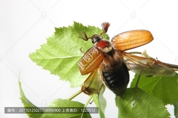 可能的錯(cuò)誤