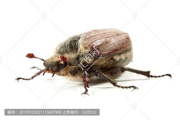 可能的錯(cuò)誤