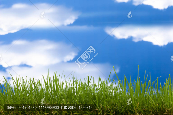 綠色的草