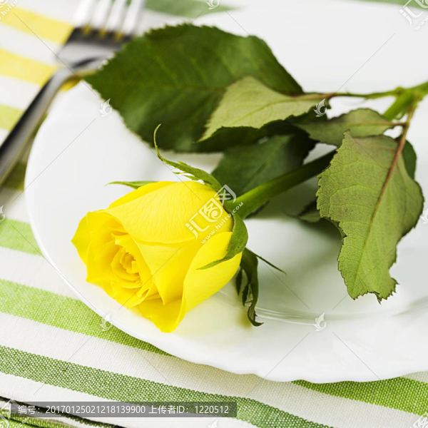 設(shè)置黃色玫瑰