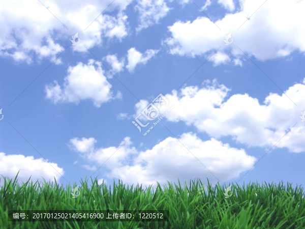 綠草和藍天