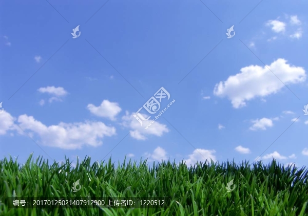 綠草和藍(lán)天