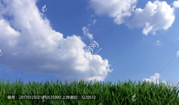 綠草和藍(lán)天