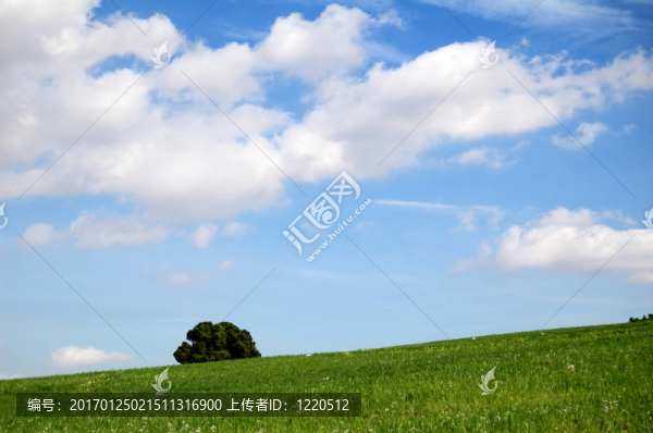 綠地與天空背景