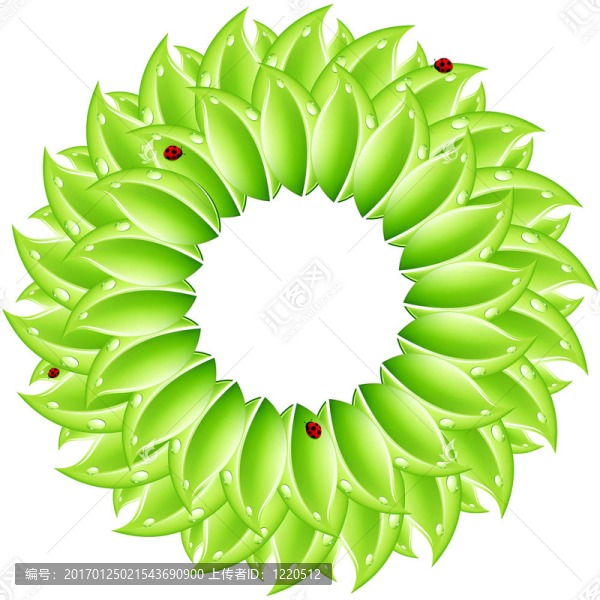 花框
