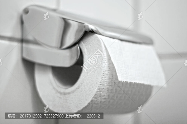 一架掛在墻上的廁紙