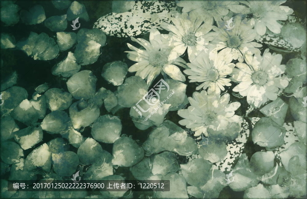 舒緩禪摘要