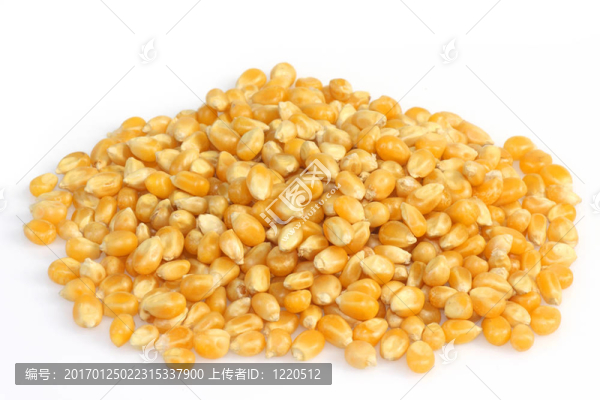 玉米粉