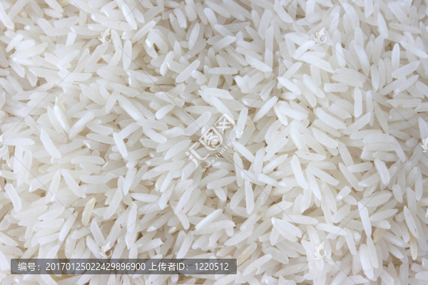 原料大米的特寫