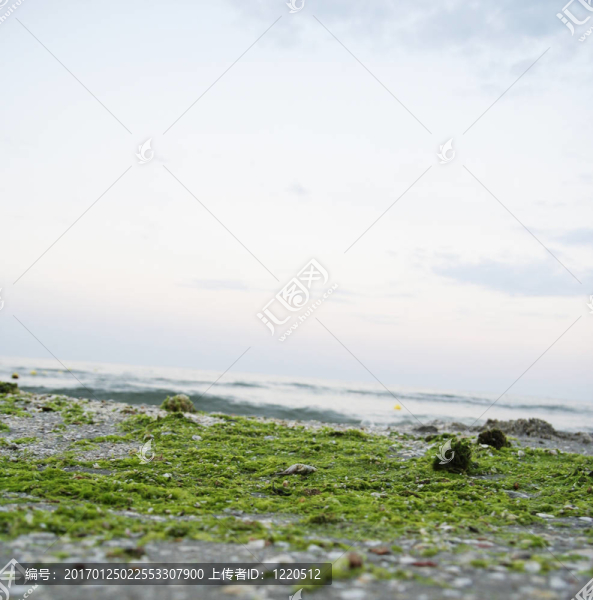 在海灘的夏天。